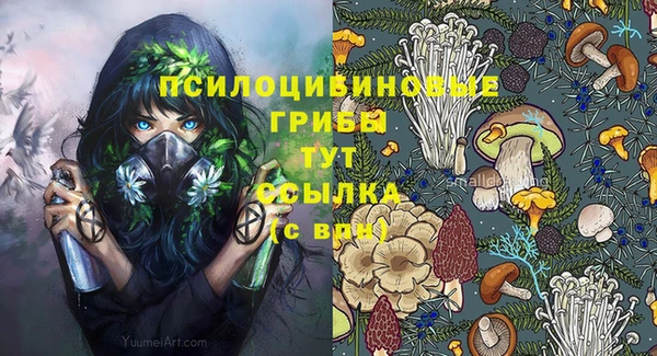 шишки Костерёво