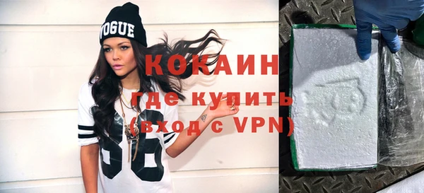 шишки Костерёво
