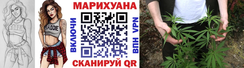 мега ONION  наркота  Светлоград  Каннабис индика 